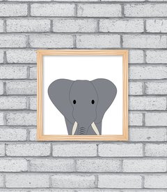 Quadro Elefante - comprar online