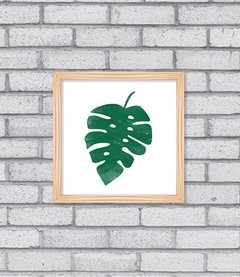 Quadro Monstera