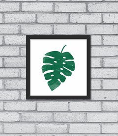 Quadro Monstera na internet