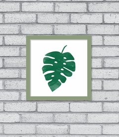 Quadro Monstera - loja online