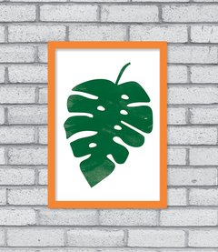 Quadro Monstera - Pendurama Quadros e Artigos de Decoração