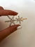Invisible x Unidad Doble Starfish Dorado - comprar online