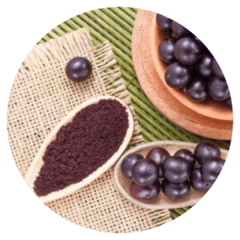 Açai - 120 Cápsulas de 400mg! - comprar online