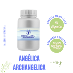 Angelica Archangelica! Pote com 120 Cápsulas de 400mg!