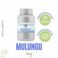 Mulungu (Erythrina mulungu, cortex) - 120 cápsulas de 400mg!