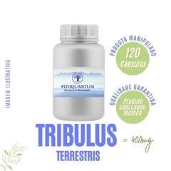 Tribulus Terrestris - 120 Cápsulas de 400mg!