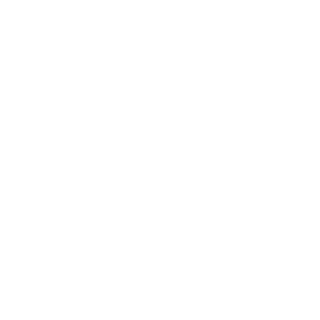 FESTA CHIC