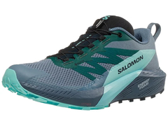 Salomon Sense Ride 5 GTX Men's Shoes - Carbon/Blue Radian