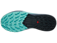 Salomon Sense Ride 5 GTX Men's Shoes - Carbon/Blue Radian na internet