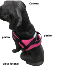 ARNES ANTIJLONES - ROSA (TALLA S M L ) - SofistiPets - Lo que tu mascota se merece!