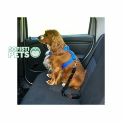 Cinturón de Seguridad para Perro - Azul - comprar online