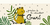 Carrusel 1