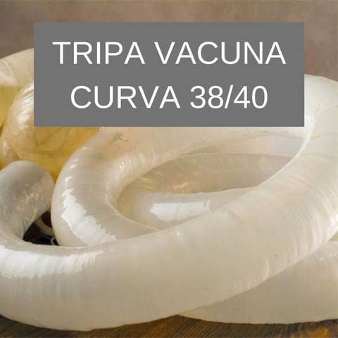 TRIPA VACUNO CURVA CAL. 38/40 12 metros. CONSULTAR PRECIO POR MAYOR!!!