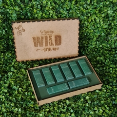 Coleção Wild One + Caixa - comprar online