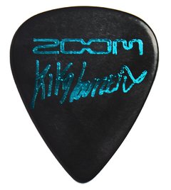 Palheta Kiko Loureiro (Zoom) - comprar online