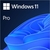 Windows 11 Pro 64B OEM 1PK Spanish - comprar online