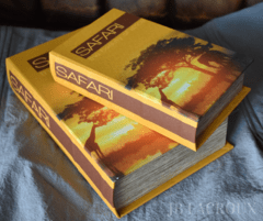 BOOK BOX SET X 2 SAFARI BB4