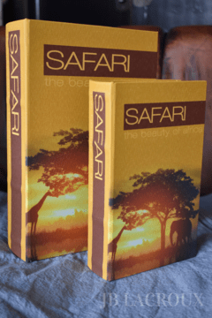 BOOK BOX SET X 2 SAFARI BB4 - comprar online