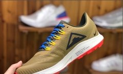 Tênis Nike Air Zoom Pegasus 36 Turbo na internet