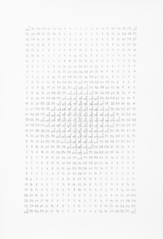 Barbara Kaplan. Valor de gris, 46 x 32 cm