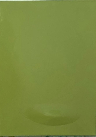 Lorena Ventimiglia. Suspendido verde, 40 x 30 cm