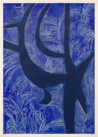 Federico Villarino. Blue Moon VI , 70 x 50 cm