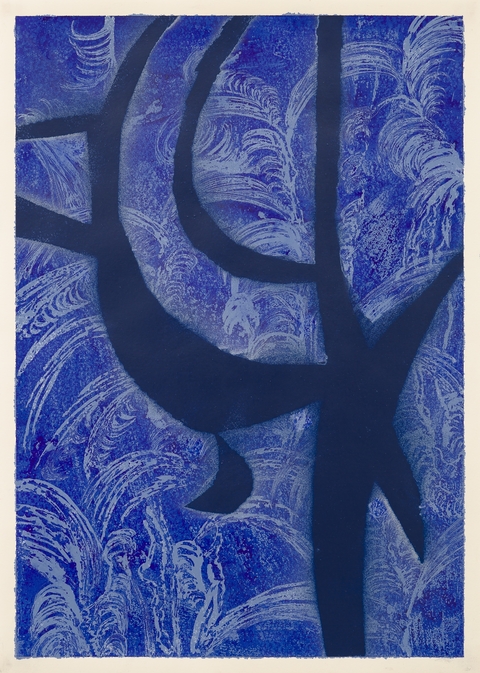 Federico Villarino. Blue Moon VI , 70 x 50 cm