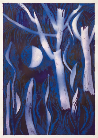 Federico Villarino. Blue Moon VII , 70 x 50 cm