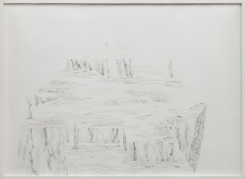 Cintia Fernandez Padin. Otras Naturalezas II, 104 x 145 cm