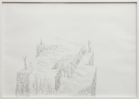 Cintia Fernandez Padin. Otras Naturalezas III, 70 x 100 cm