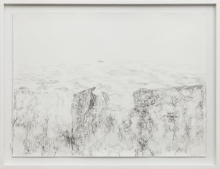 Cintia Fernandez Padin. Otras Naturalezas IV, 56 x 77 cm