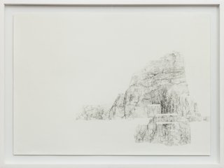Cintia Fernandez Padin. Otras Naturalezas V, 50 x 70 cm