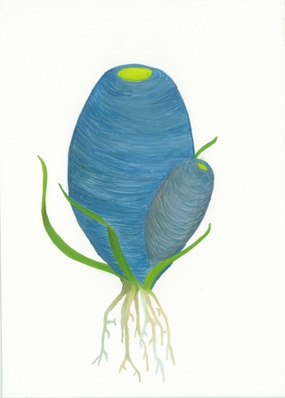 Cintia Fernandez Padin. Otras Naturalezas (coralbis), 22, 5x 16,5 cm