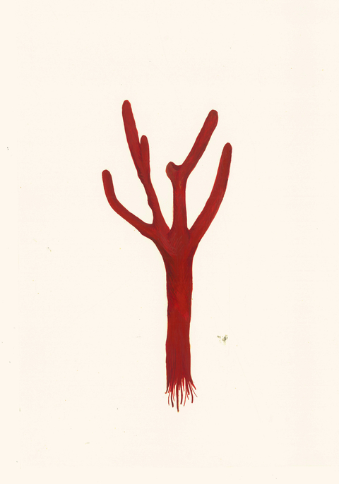 Cinthia Fernandez Padin. Otras Naturalezas (coral rojo), 25 x 17,5 cm