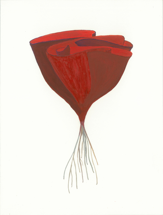 Cintia Fernandez Padin. Otras naturalezas, 21 x 16 cm