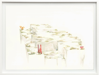 Cintia Fernandez Padin. Otras Naturalezas Color, 31 x 41 cm