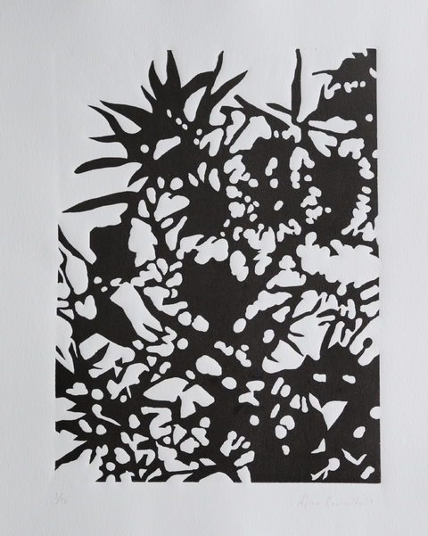 Alico Roviralta. Xilografía Cardales, 50 x 40 cm.