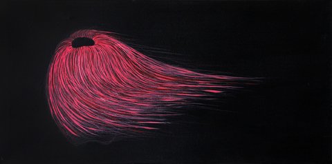 Ezequiel Albanell. Peludo al viento, 40 x 80 cm