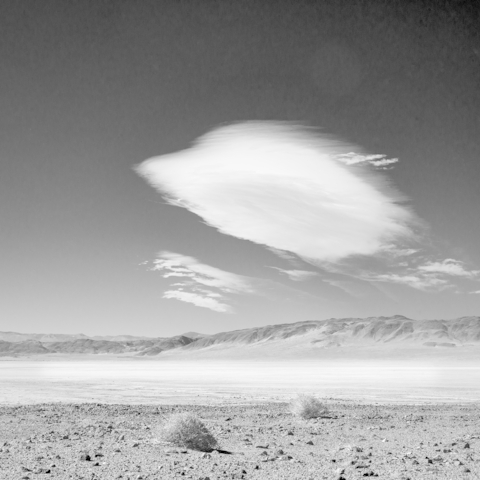 Agnes Lanfranco. Mirar las nubes, 100 x 100 cm