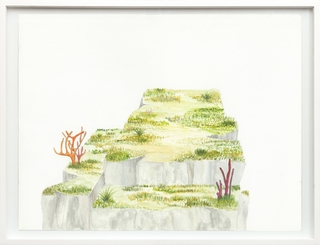 Cintia Fernandez Padin. Otras Naturalezas Color I, 30 x 24,5 cm