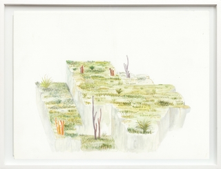 Cintia Fernandez Padin. Otras Naturalezas Color II, 30 x 24,5 cm