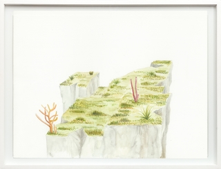 Cintia Fernandez Padin. Otras Naturalezas Color I, 30 x 24,5 cm (copia) (copia)