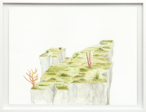 Cintia Fernandez Padin. Otras Naturalezas Color III, 30 x 24,5 cm