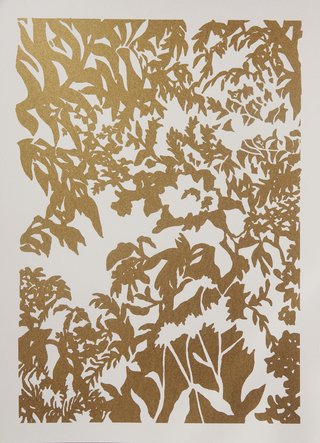 Lucia Spotorno. Serie Adoraciones II, 65 x 48 cm.