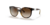 ARMANI EXCHANGE AX4120S 821313