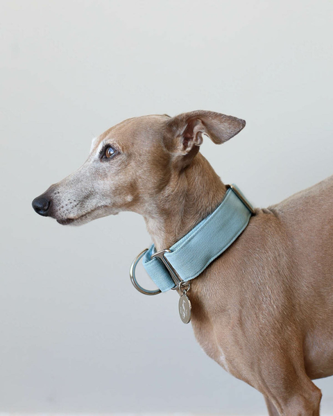 Coleira Martingale para cachorros Bege Areia - Ruff Ruff