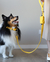 Dog Leash 1.2 m Yellow Gold - Ruff Ruff