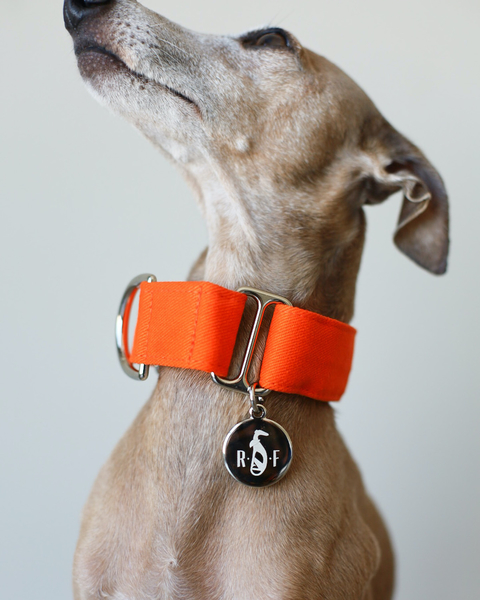 Coleira Martingale para cachorros Bege Areia - Ruff Ruff