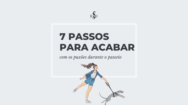 7 passos para acabar com os puxões durante o passeio