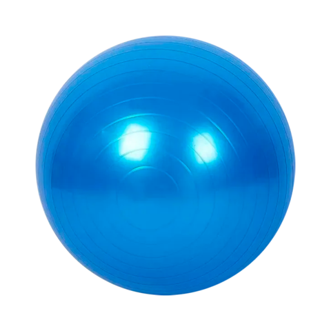 Gym Ball Pelota De Esferodinamia 75cm